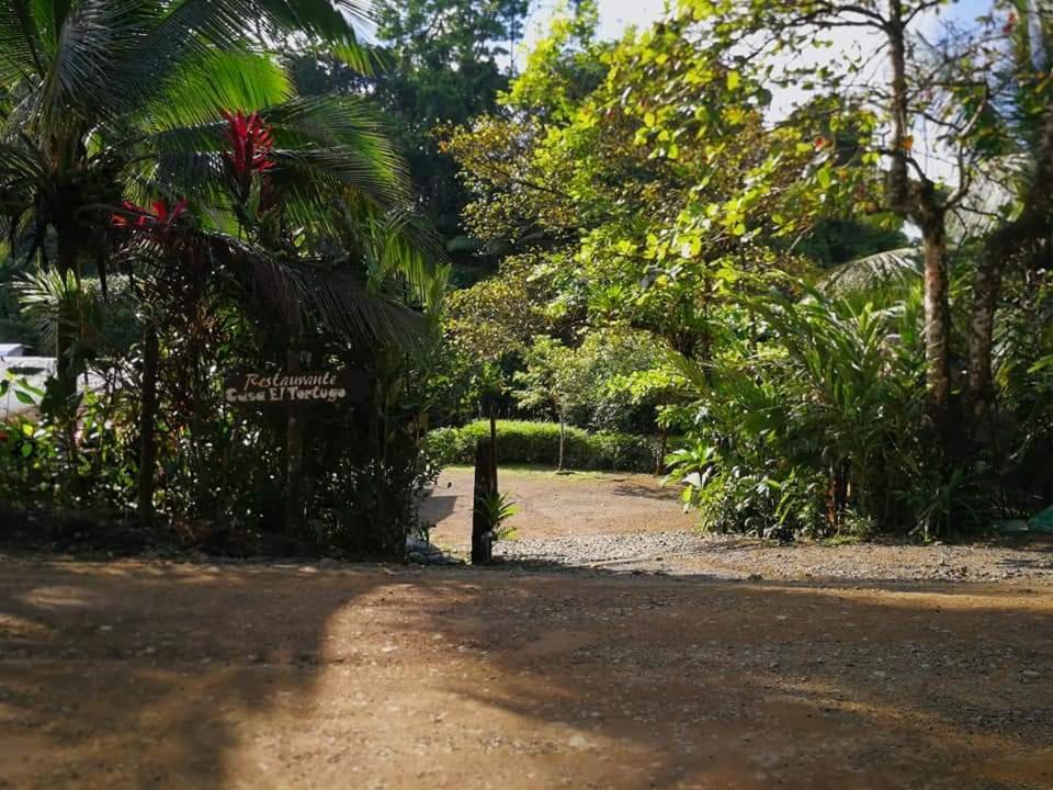 Drakes Bay Casa El Tortugo Bed & Breakfast エクステリア 写真